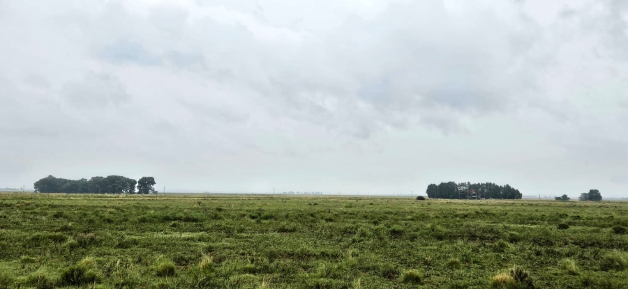 Commercial Property for Sale in Bloemfontein Rural Free State